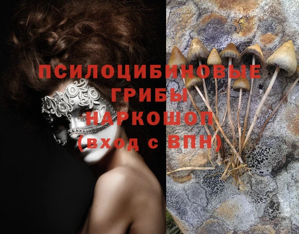 бошки Баксан