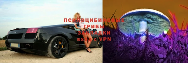 дживик Балахна